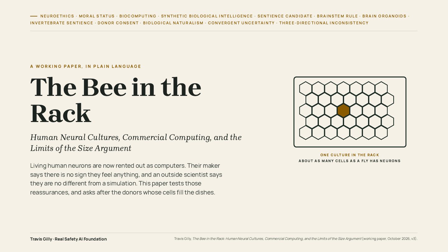 First slide of the plain language summary of The Bee in the Rack: Human Neural Cultures, Commercial Computing, and the Limits of the Size Argument